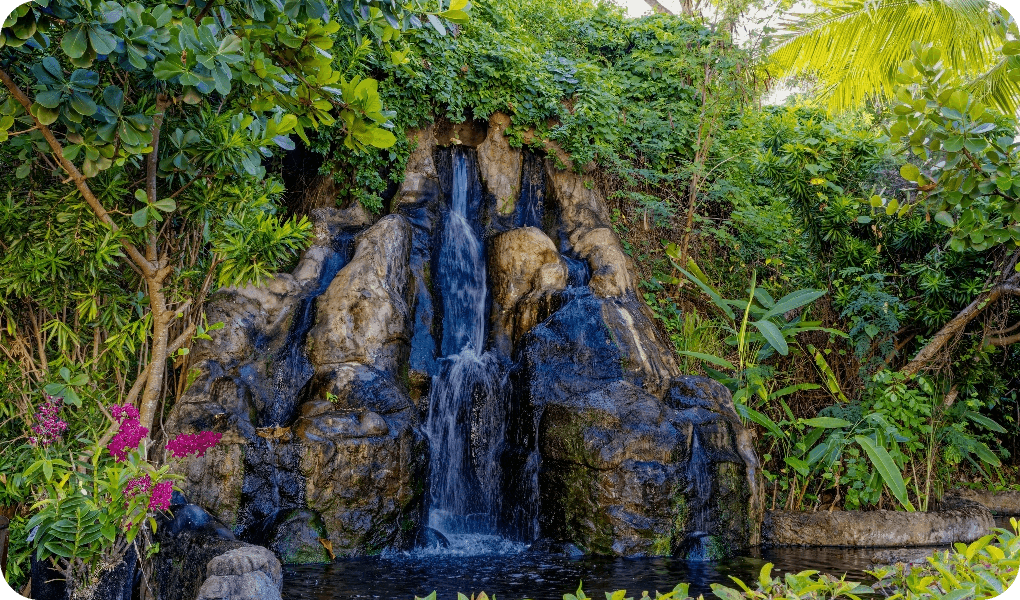 shutterstock_2427065191@2x