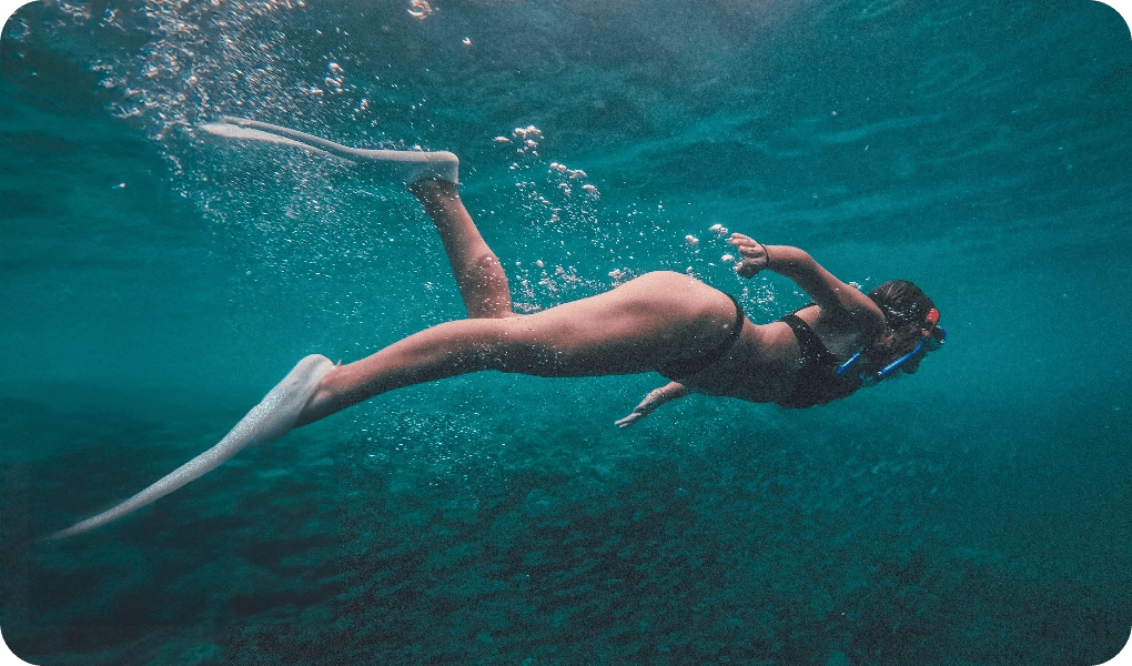 shutterstock_2478643329@2x